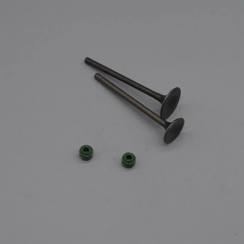 kayo AU200 ATV200 loncin 200cc CVT engine valve seal overrunning clutch carburetor intake pipe brake speedo tensioner oil pump